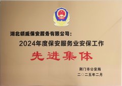 喜報(bào)！領(lǐng)威保安榮獲“2024年度保安服務(wù)業(yè)安保工